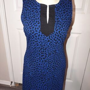 New York & Company Blue Animal Print Mini Dress